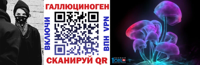 Псилоцибиновые грибы Cubensis  Новая Усмань 